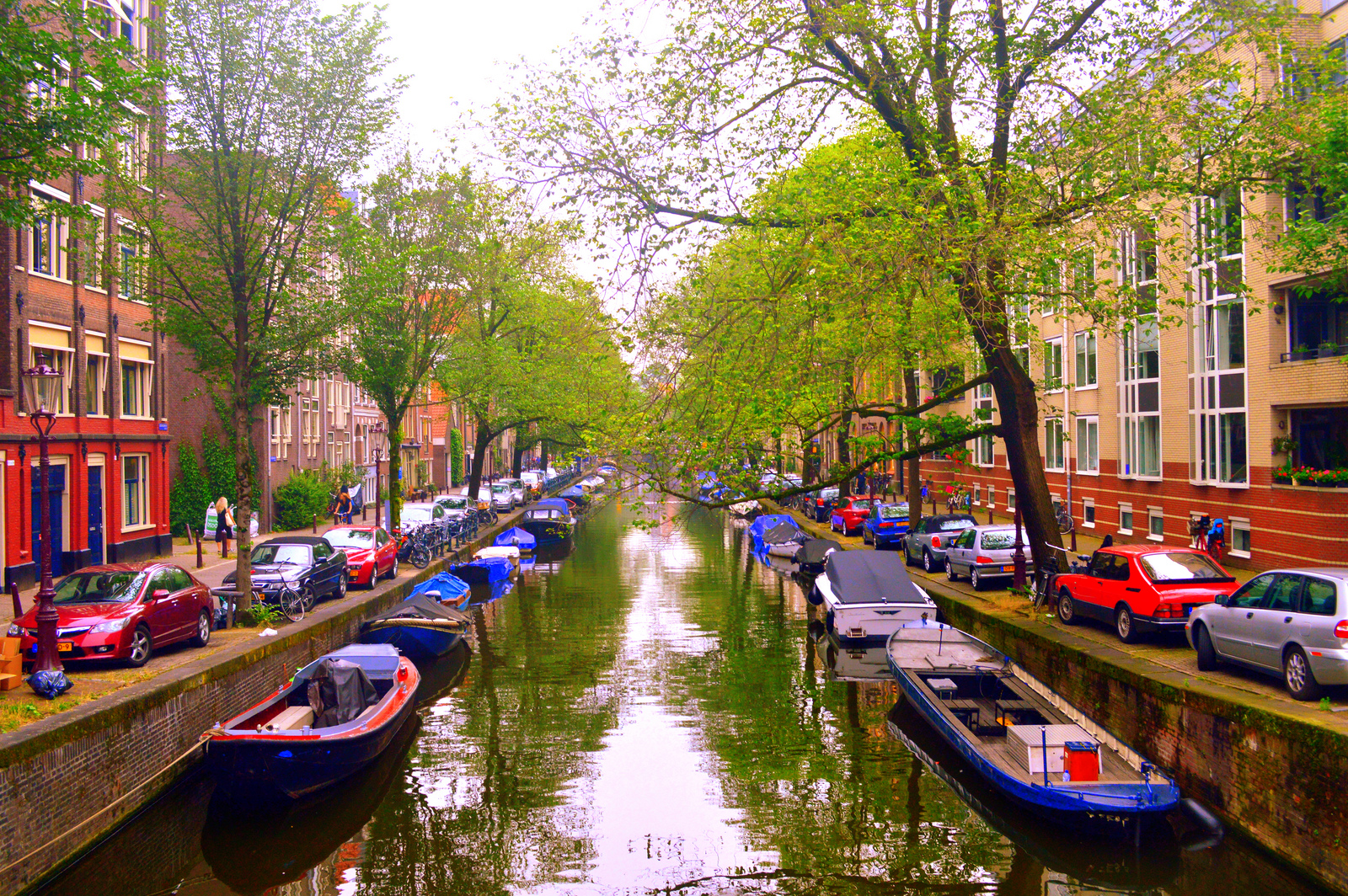 Click to open modal for Dev Center